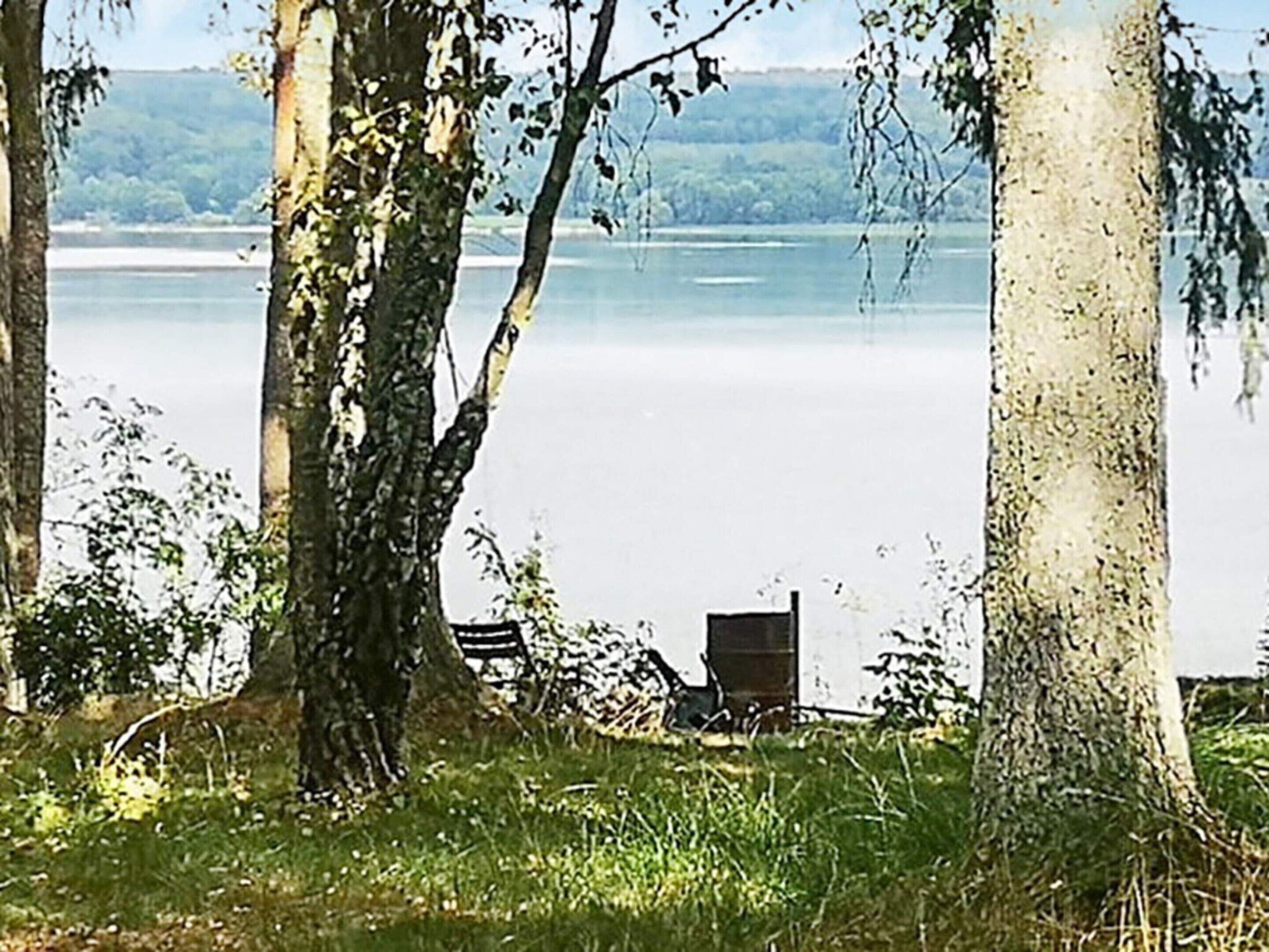 A lakeside view with a bench and a table under trees.