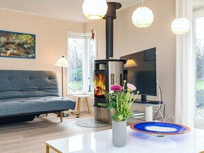 A modern living room with a sofa, a fireplace, a TV, and a vase with flowers. - 4 Star Holiday Home in Rodvig Stevns (Rodvig Stevns)
