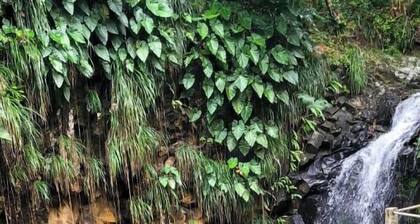 Beautiful 1-Bed Apartment in Saint George's