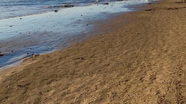 A sandy beach with footprints leading to the water, a clear sky, and distant buildings. - NEW! Ample Condo- Walk to Beach! AMAZING Location! Everything Walk-in distance! (Mazatlán)