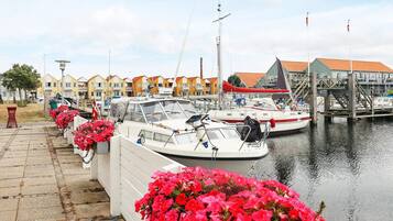 A marina with boats docked, a row of colorful buildings in the background, and a pathway with flower beds.
