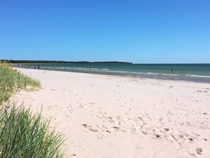 A beach with clear skies, a sandy shore, and a distant tree line. - 4 Star Holiday Home in Slite (Slite)