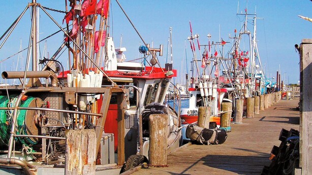 Un port de plaisance où de nombreux bateaux sont amarrés le long d’une jetée en bois.