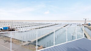 Un grand complexe d’aquaculture doté de plusieurs bassins et d’une plateforme d’observation.