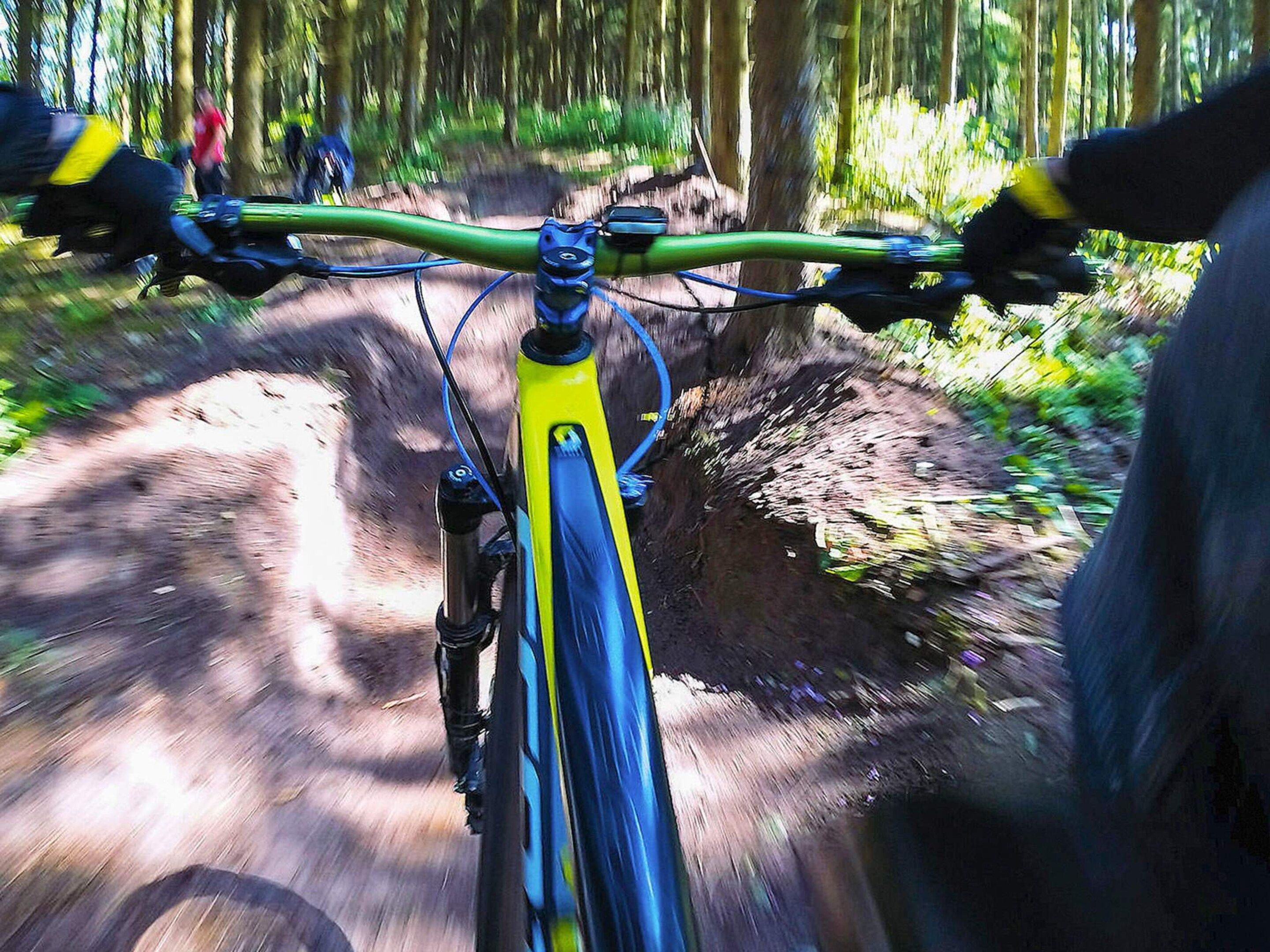 A mountain bike on a forest trail.