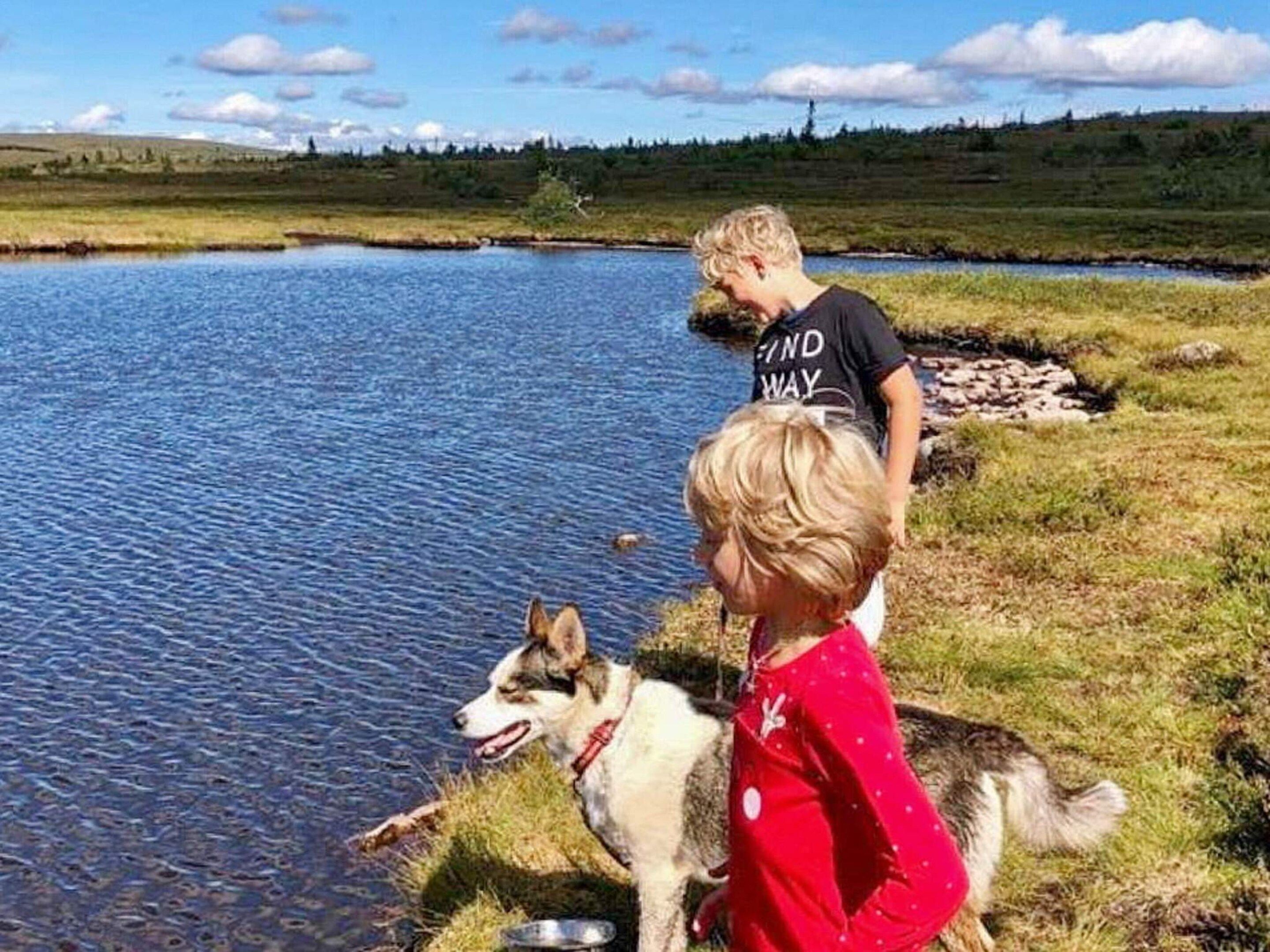 A person and a dog by a calm body of water with a grassy bank.