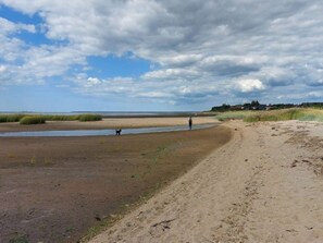 A beach with a person walking along the shore, a dog, and a distant view of houses. - 5 Star Holiday Home in Esbjerg V (Esbjerg)