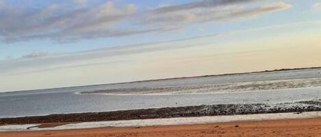 A beach with a sandy shore and a calm sea.