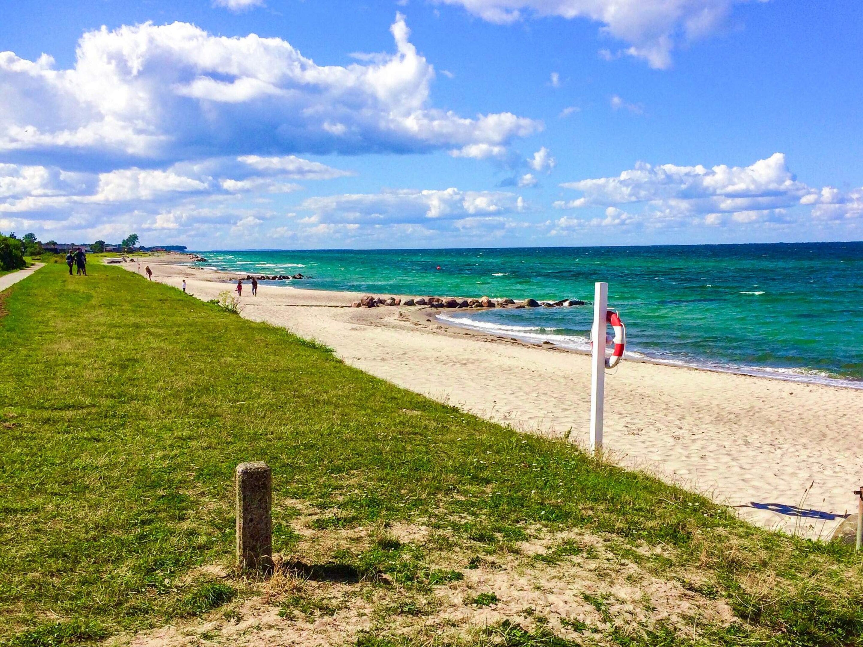 A beach with a grassy path, a lifebuoy, and a clear sky.