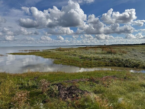 Eine natürliche Landschaft mit einem Gewässer, grünen Flächen und einer fernen Baumgrenze unter einem teils bewölkten Himmel.