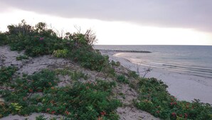 A beach with vegetation and a rocky outcrop in the distance. - 6 Person Holiday Home in Frederiksvaerk (Frederiksvaerk)