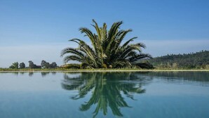 A calm lake with a palm tree in the center reflecting in the water. - Luxury villa at 15 minutes driving from the seaside (Gavorrano)