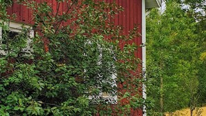 A red barn with a white door, surrounded by dense green foliage.