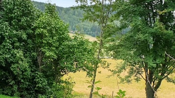 Ferienhaus | Blick von der Unterkunft