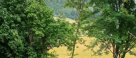 Ferienhaus | Blick von der Unterkunft