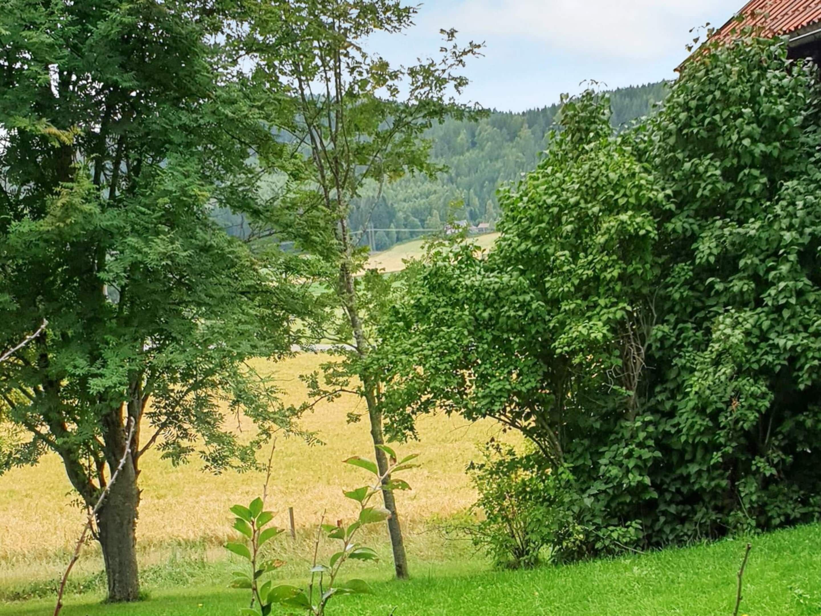 A rural landscape with a house surrounded by trees and a field.