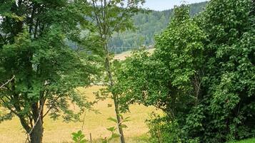 A rural landscape with a house surrounded by trees and a field.