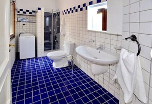 تجهيزات دش، حوض استحمام بنظام ضخ المياه، مجففات شعر، مراحيض شطف