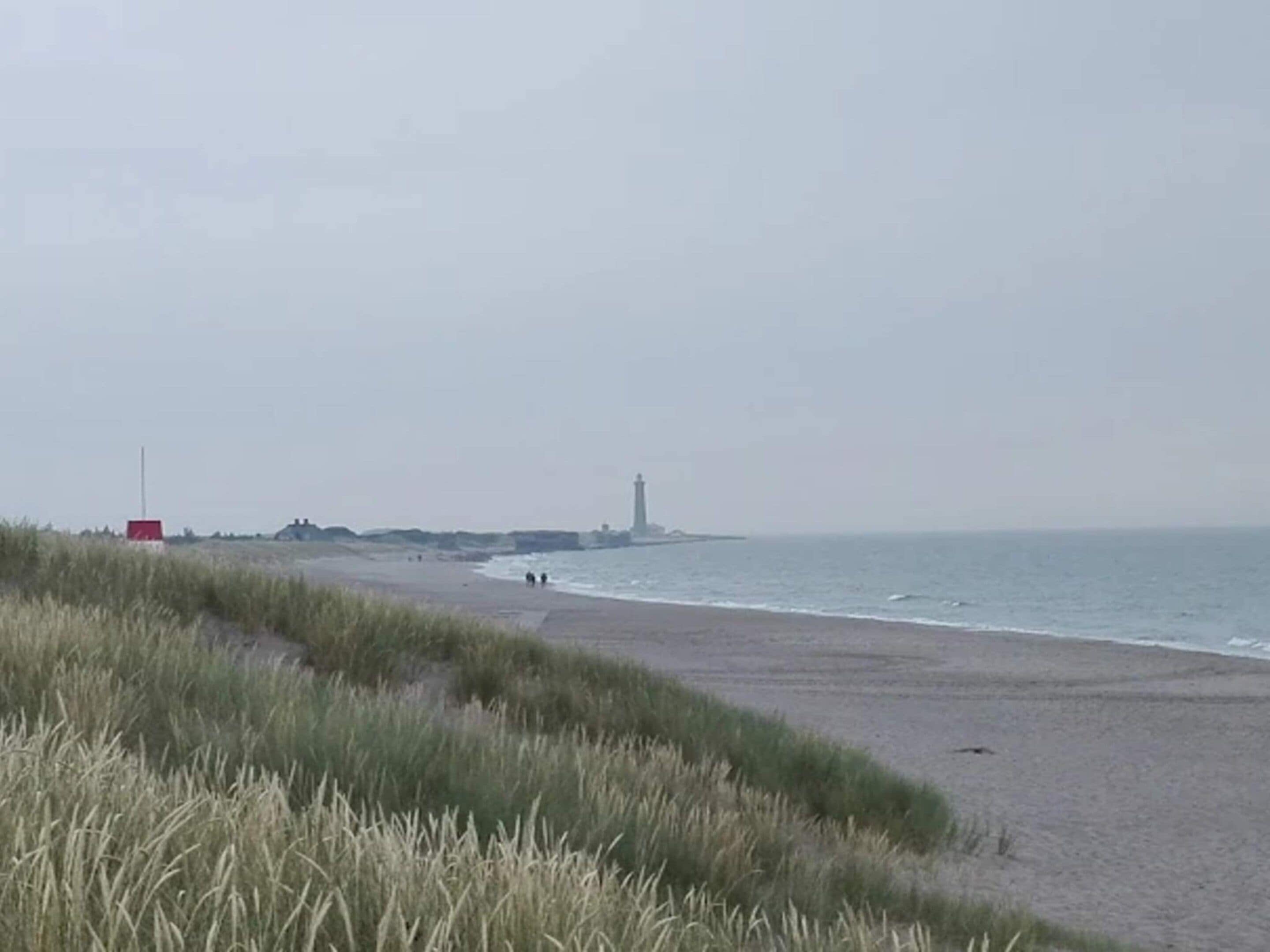 수변 전망