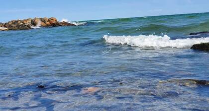 4 Star Holiday Home in Skagen