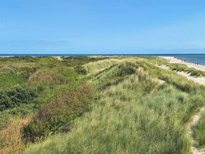 A coastal landscape with dunes and a beach.