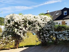 A wooden deck with a white flowering tree in the center, surrounded by a grassy lawn and a house with a dark roof and white walls. - 5 Person Holiday Home in Smygehamn (Trelleborg)