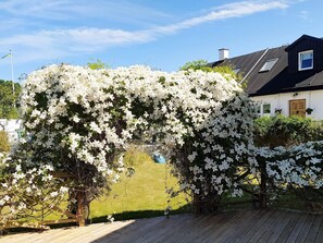 Hus | Eksteriør