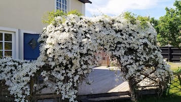 A house with a white flowering tree in front.