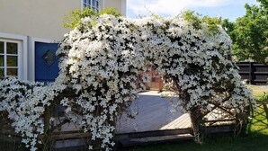 A house with a white flowering tree in front. - 4 Star Holiday Home in Smygehamn (Trelleborg)
