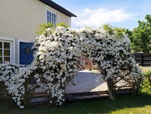 A house with a white flowering tree in front. - 5 Person Holiday Home in Smygehamn (Trelleborg)