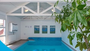 Una piscina interna con uno scivolo blu, un soffitto bianco con travi e un termosifone.