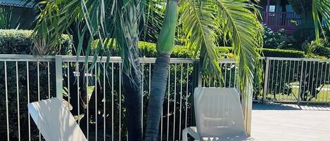 A sunlit outdoor seating area with two white lounge chairs and a palm tree.