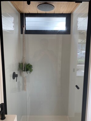 Shower, towels, toilet paper