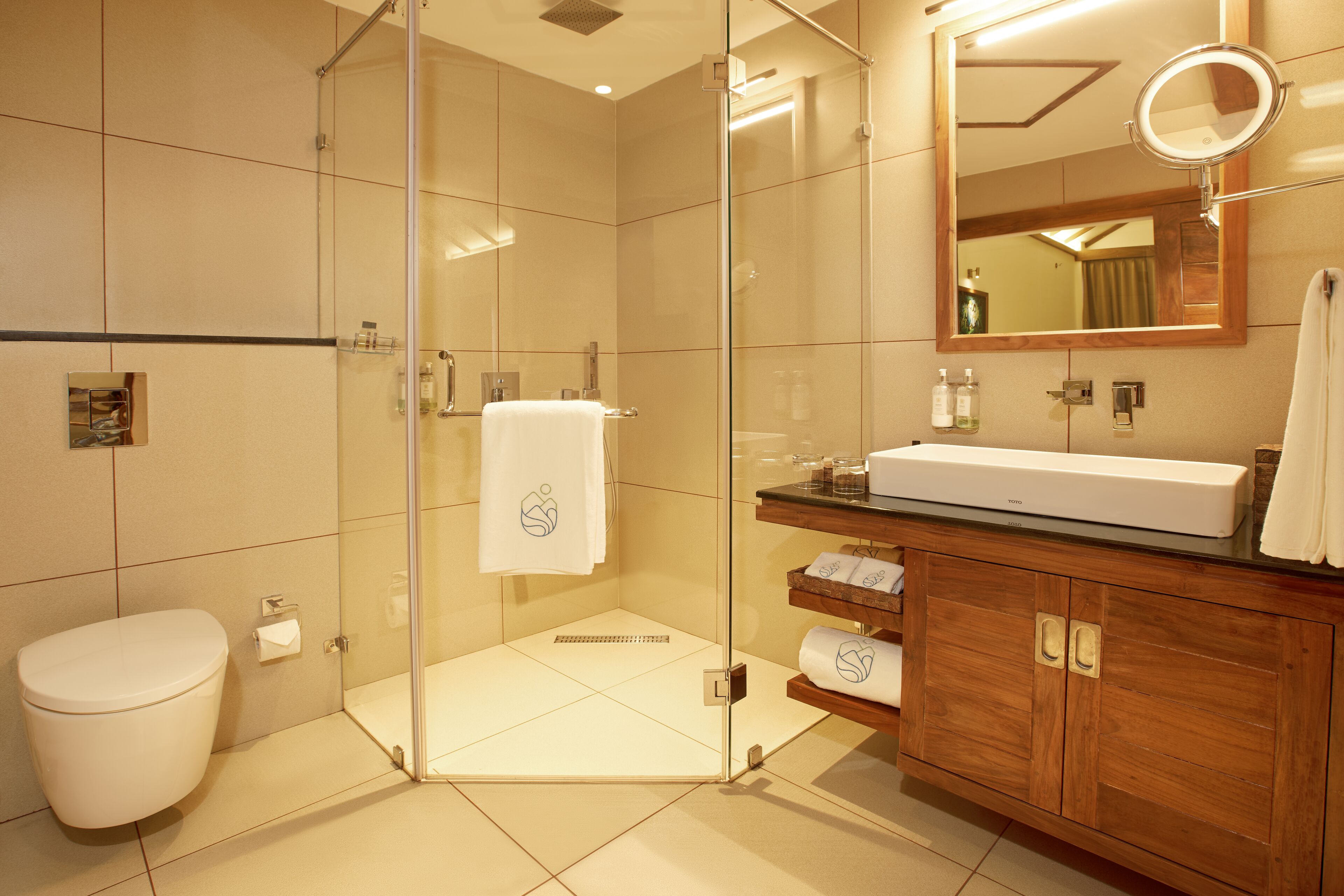 A modern bathroom with a glass-enclosed shower, a white toilet, and a wooden vanity with a mirror and sink.