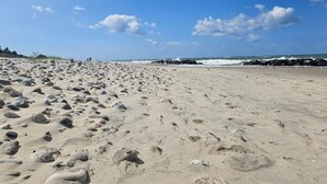 A wide sandy beach with footprints and rocks, a clear sky with clouds, and waves crashing against a rocky shore. - 4 Person Holiday Home in Gilleleje (Gilleleje)