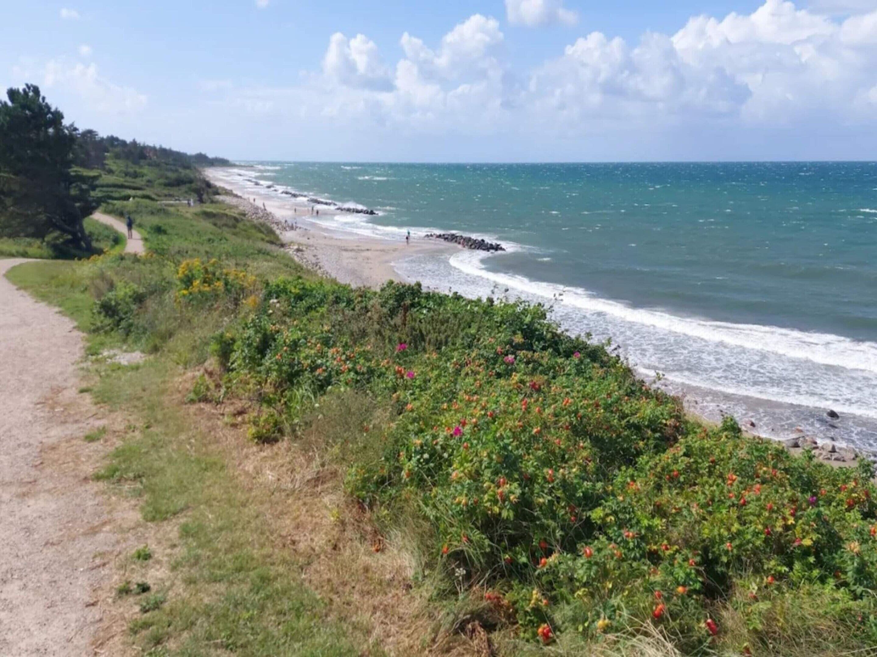 A coastal path with a beach, ocean, and vegetation.