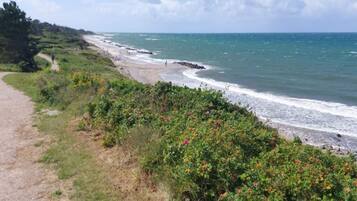 A coastal path with a beach, ocean, and vegetation.