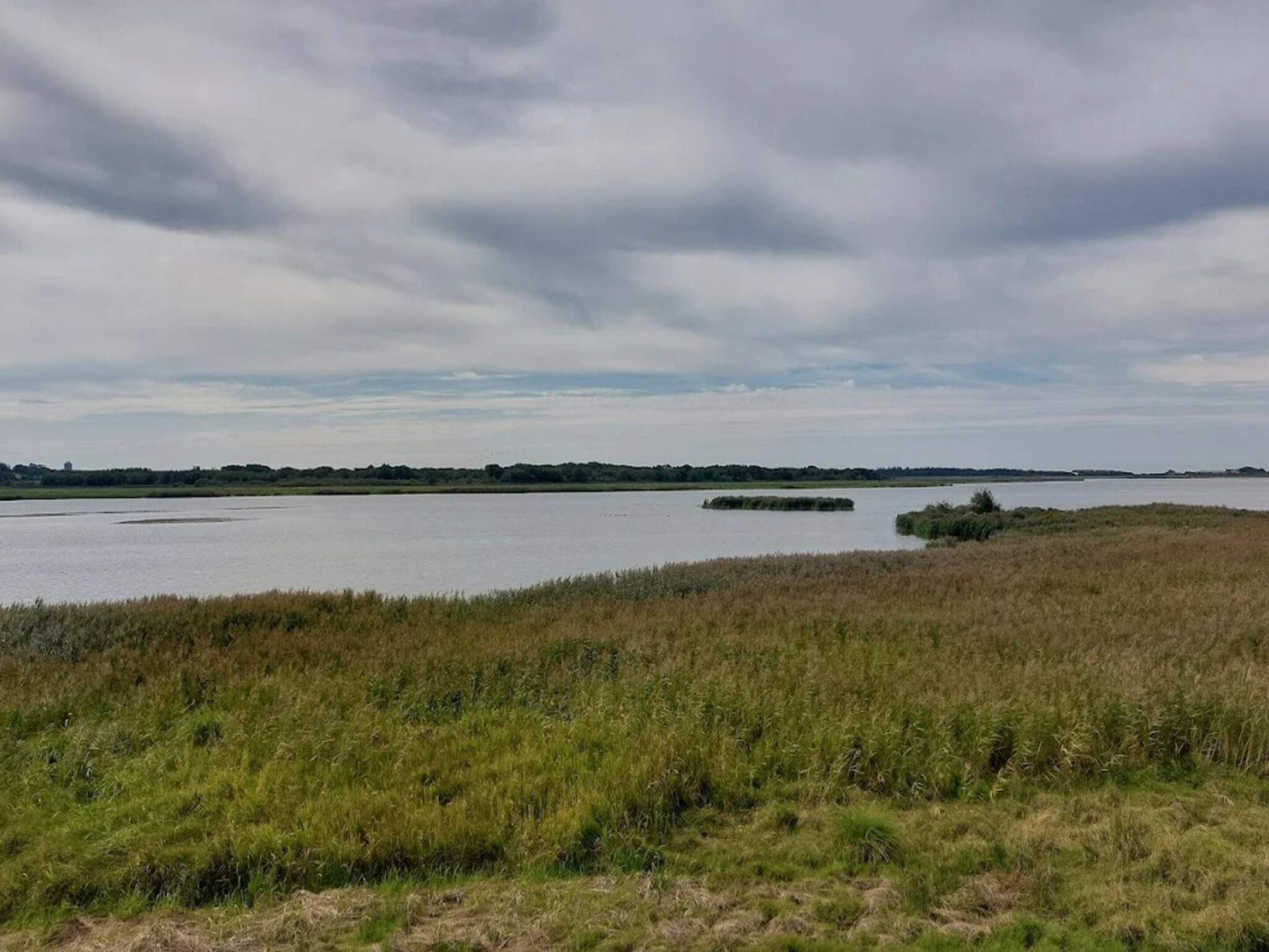 Een natuurlijk landschap met een wateroppervlak, grasvelden en een bewolkte lucht.