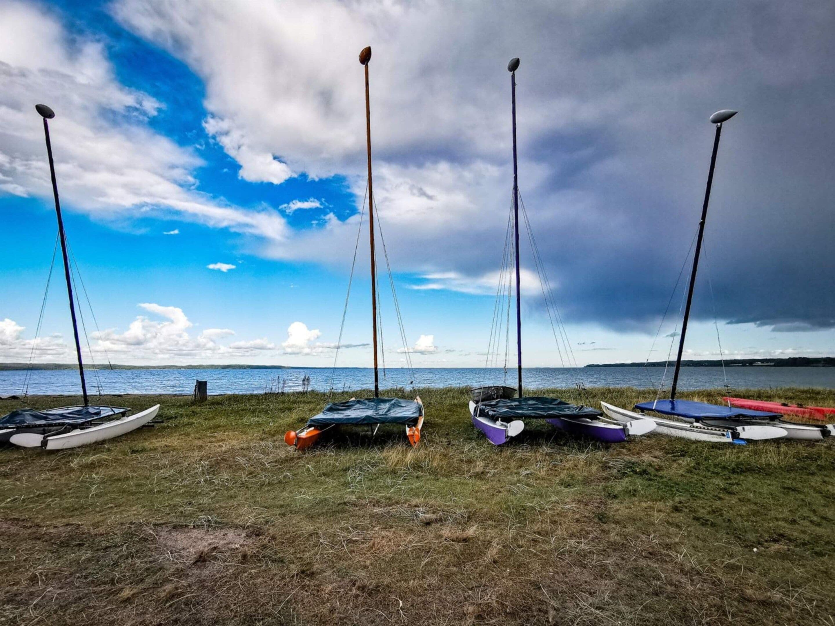 Une zone herbeuse avec plusieurs kayaks et une étendue d’eau en arrière-plan.