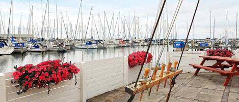 Apartment | Marina