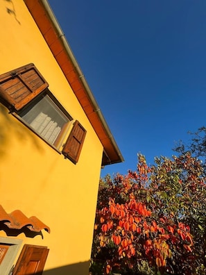 Exterior detail - LASTRI HOUSE - IN THE HEART OF THE CASENTINO FORESTS PARK (Moggiona)