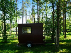 Een kleine, donkerkleurige camper geparkeerd in een bebost gebied met bomen en gras eromheen.