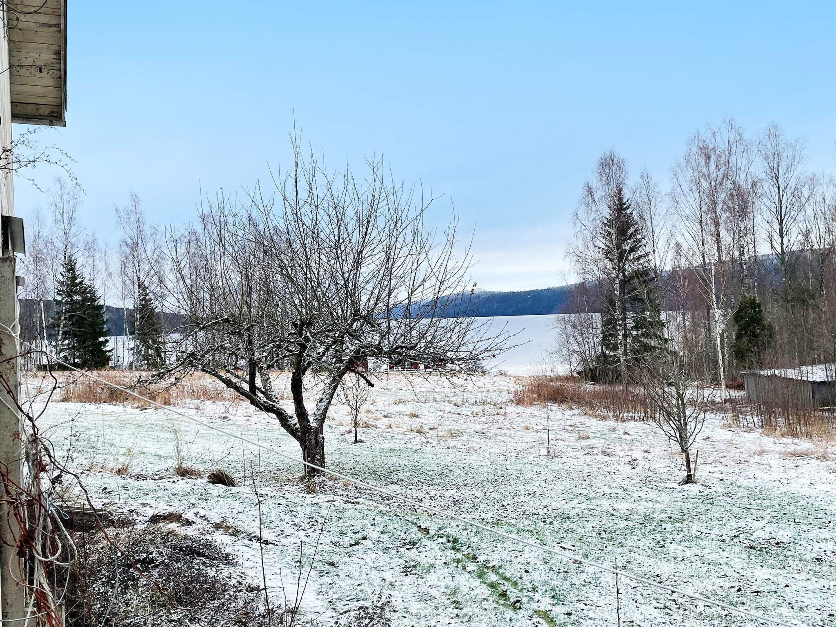 A snowy landscape with a clear view of a lake, trees, and distant mountains.