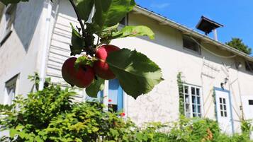 Hus | Udendørsområde