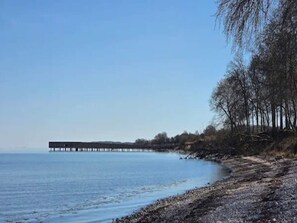 Un muelle que se adentra en aguas tranquilas, rodeado de un paisaje natural con árboles.
