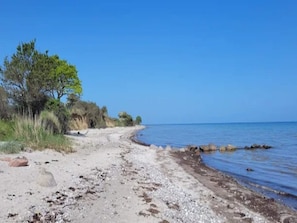 A beach with pebbles, a clear sky, and sparse vegetation.