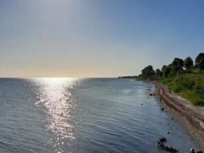 Et kystlandskab med en støvet sti, der fører til en strand, træer og et roligt hav.