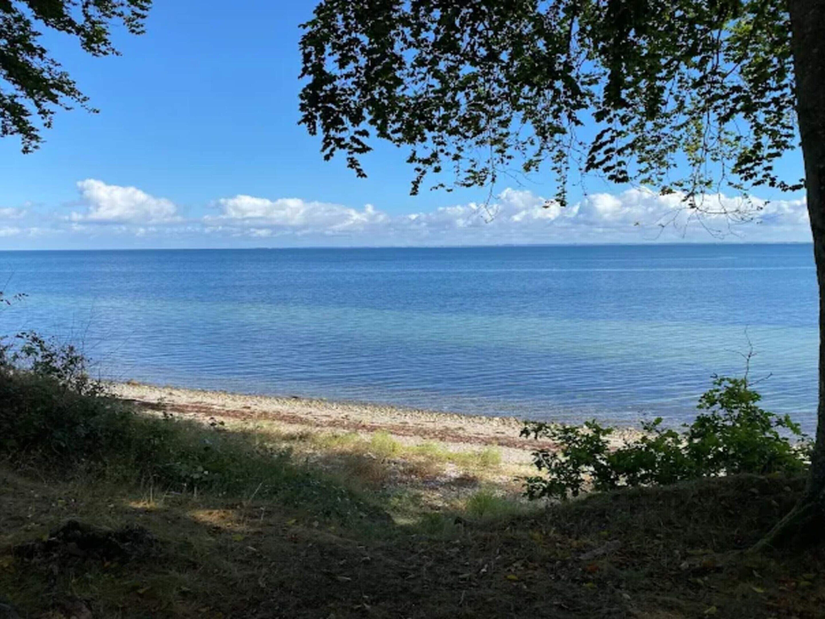 Una playa con agua cristalina, orilla de arena y una línea de árboles.