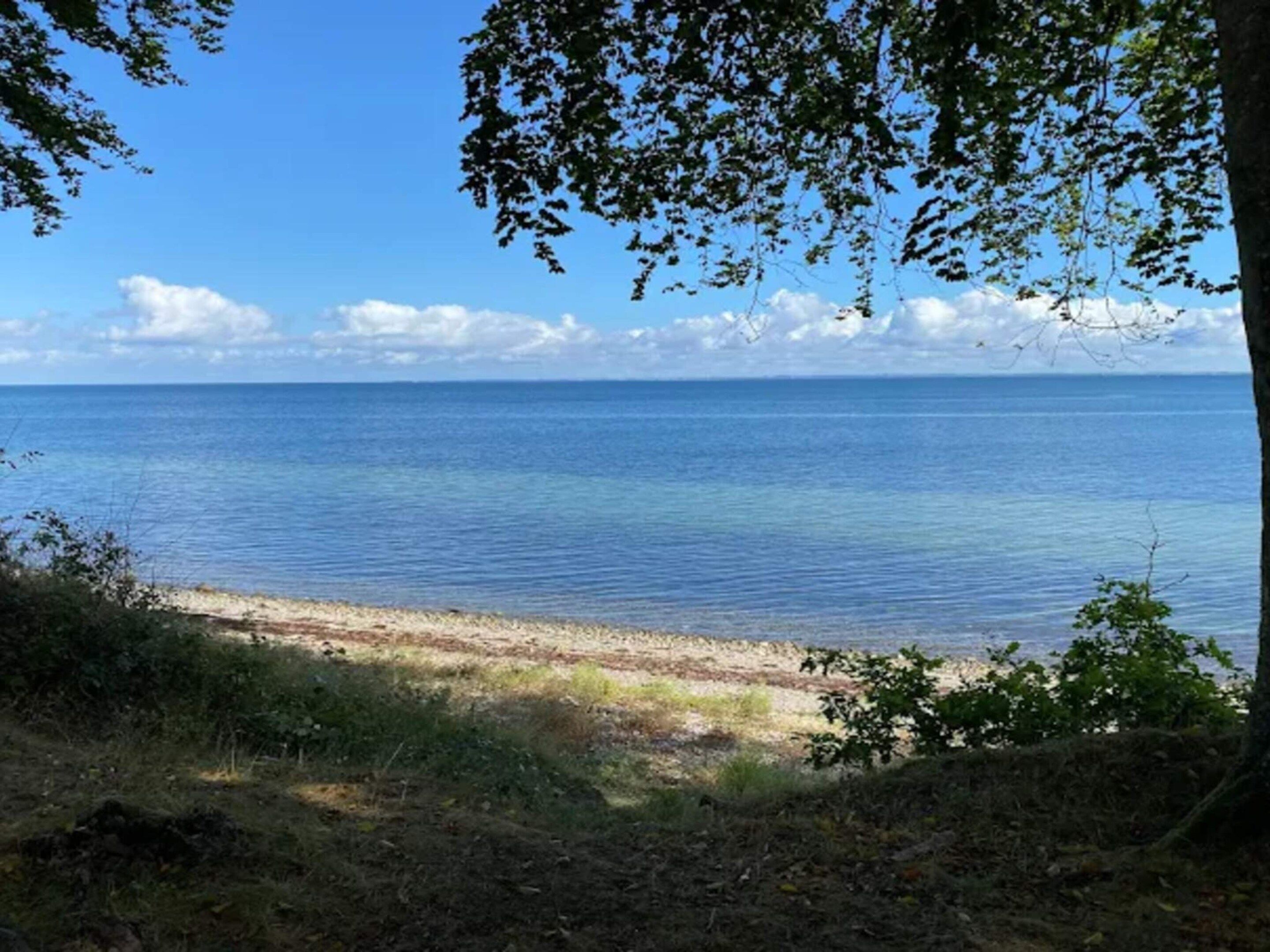 En strand med klart vatten, en sandstrand och en rad med träd längs stranden.