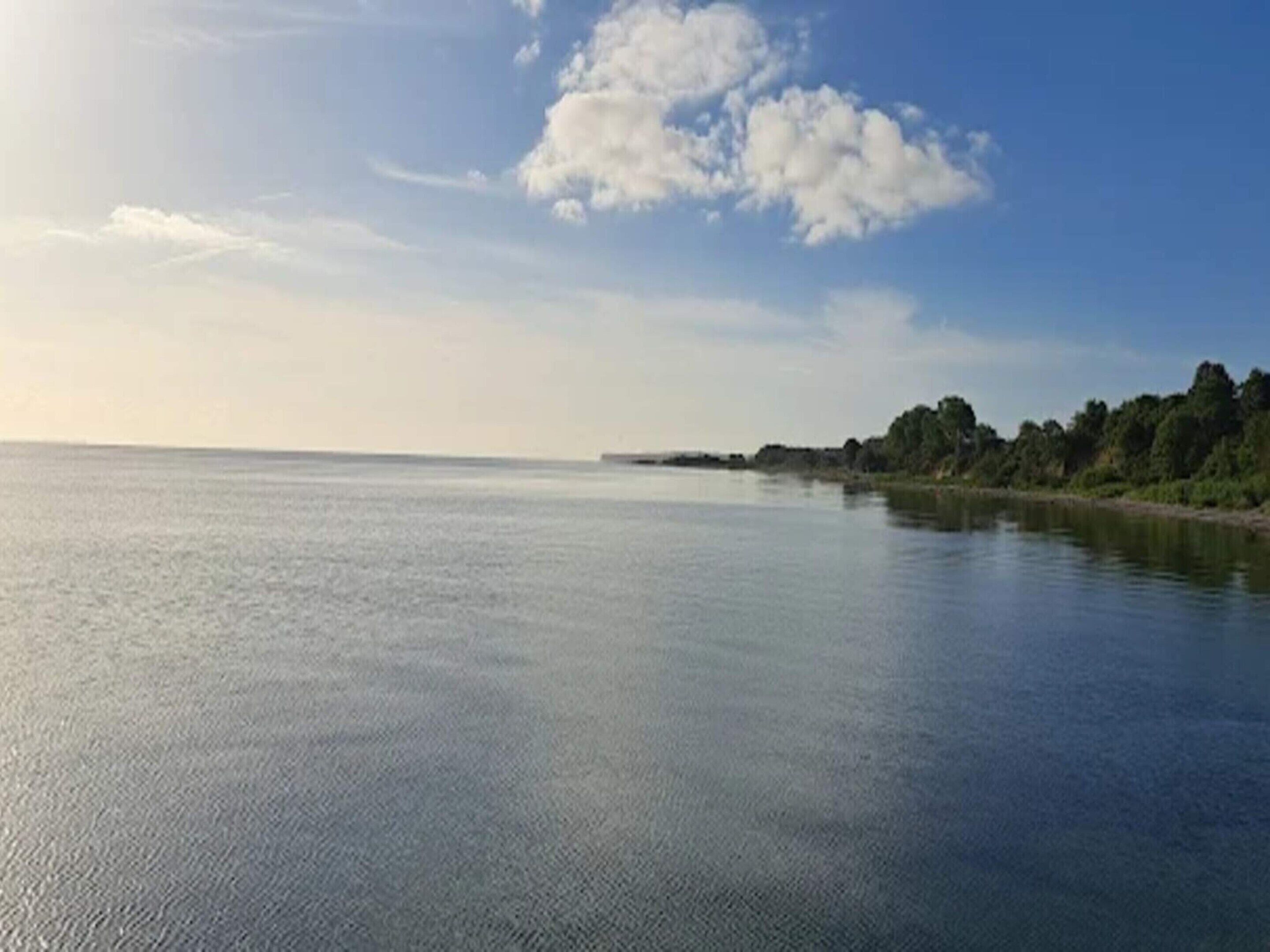 Una superficie acuática tranquila con una costa distante, árboles y un cielo despejado.